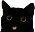 CatMelm emote for Discord
