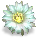 flower_mint emote for Discord