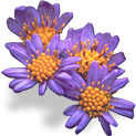 flowers_purple emote for Discord