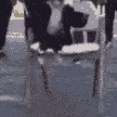 monkeycool emote for Discord