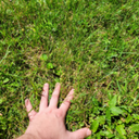 touch_grass emote for Discord