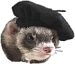 FerretInABarrette emote for Discord