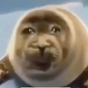 pleadingseal emote for Discord