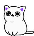 FabulousCat emote for Discord