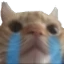 SadCat emote for Discord