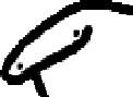 flork_peek emote for Discord