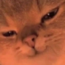 cathehe emote for Discord