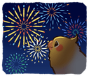 birbfireworks emote for Discord