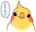 birbwhat emote for Discord
