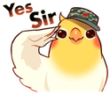 birbyessir emote for Discord