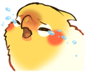 birbcrying emote for Discord