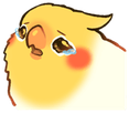 birbcry emote for Discord
