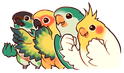 birbshappy emote for Discord