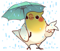birbrain emote for Discord