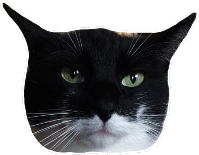 Felixbruh emote for Discord