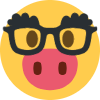 pork_nerd emote for Discord