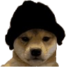 BeanieDog emote for Discord