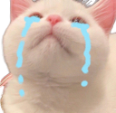 CatCri emote for Discord