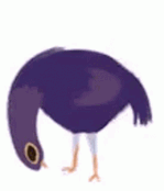 TrashDove emote for Discord