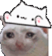 CatBongo emote for Discord