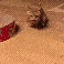 catRun emote for Discord