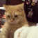catAttack2 emote for Discord