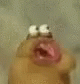 ChompChomp emote for Discord