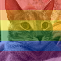 gaysunny emote for Discord