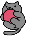 cat_play emote for Discord