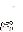 CatLoveChase emote for Discord