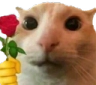 catrose emote for Discord
