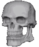 skull_butidk emote for Discord