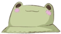 FroggyHat emote for Discord