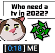 Who_Need_a_TV_in_2022 emote for Discord