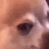 Looking_upset emote for Discord