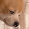 Am_hurt emote for Discord