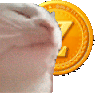 CatZG emote for Discord