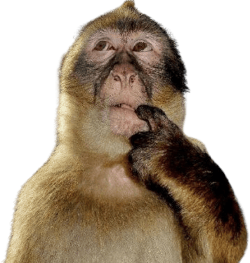 monkeythink emote for Discord