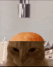 icecreamcat emote for Discord