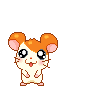 HamtaroDead emote for Discord