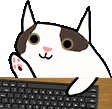 CatKeyboardWarrior emote for Discord