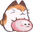 DangoKitty emote for Discord