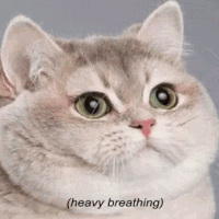 heavybreathing emote for Discord