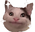 SparkleCat emote for Discord