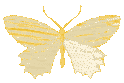 yellowbutterflyholo emote for Discord