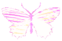 pinkbutterflyholopastel emote for Discord