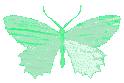 greenbutterflyholo emote for Discord