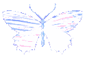 indigo_butterfly_holo emote for Discord