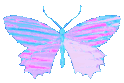 blue_butterfly_holo emote for Discord
