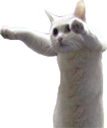 longcat1 emote for Discord